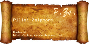Pilisi Zsigmond névjegykártya