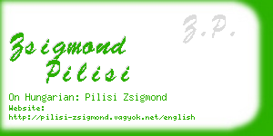 zsigmond pilisi business card